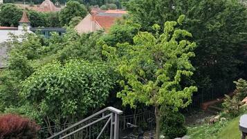 Vista desde la propiedad