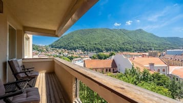 Minibar, iron/ironing board, free WiFi, bed sheets