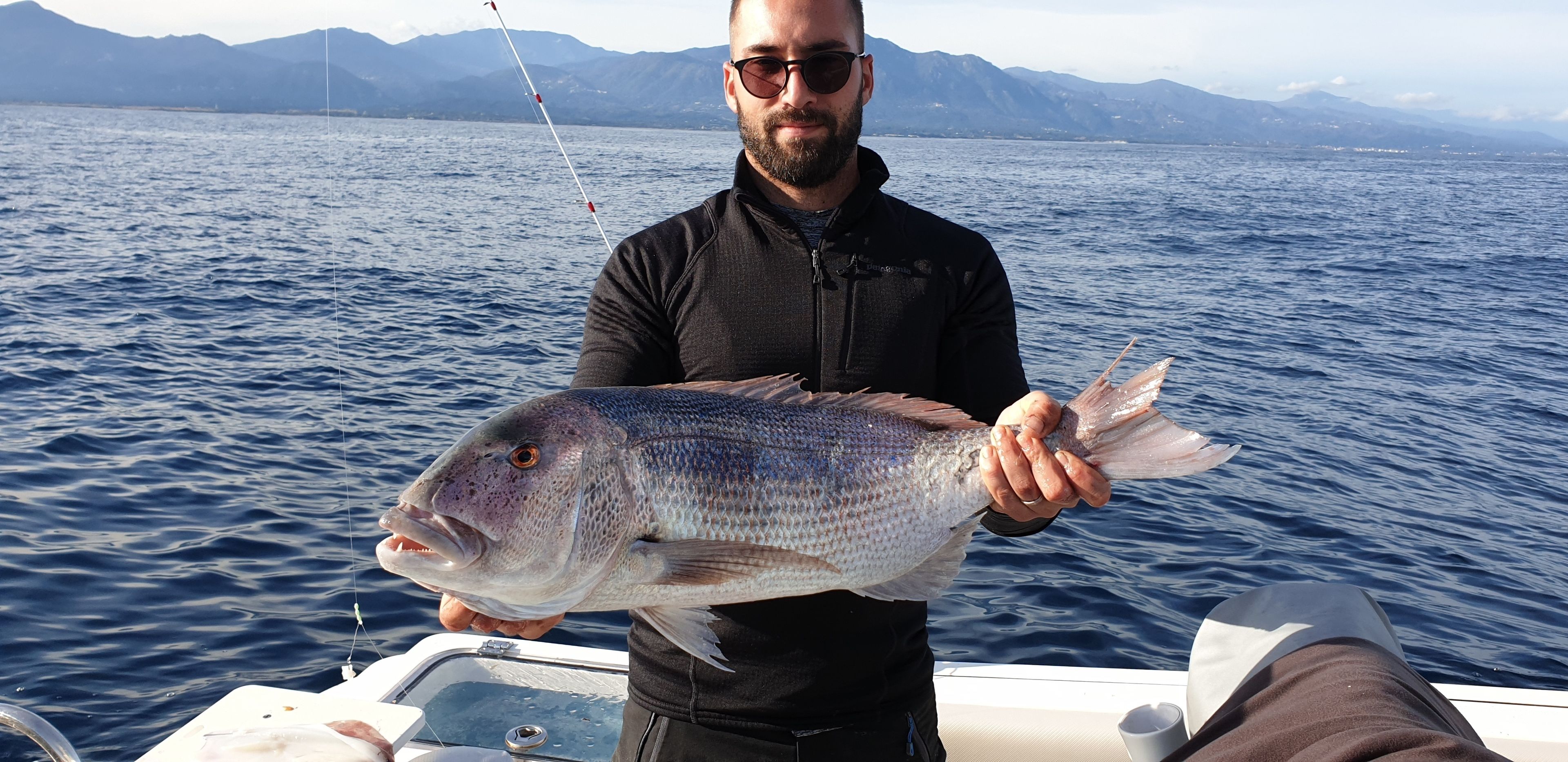 Une personne tenant un gros poisson sur un bateau, avec un paysage montagneux en arrière-plan.