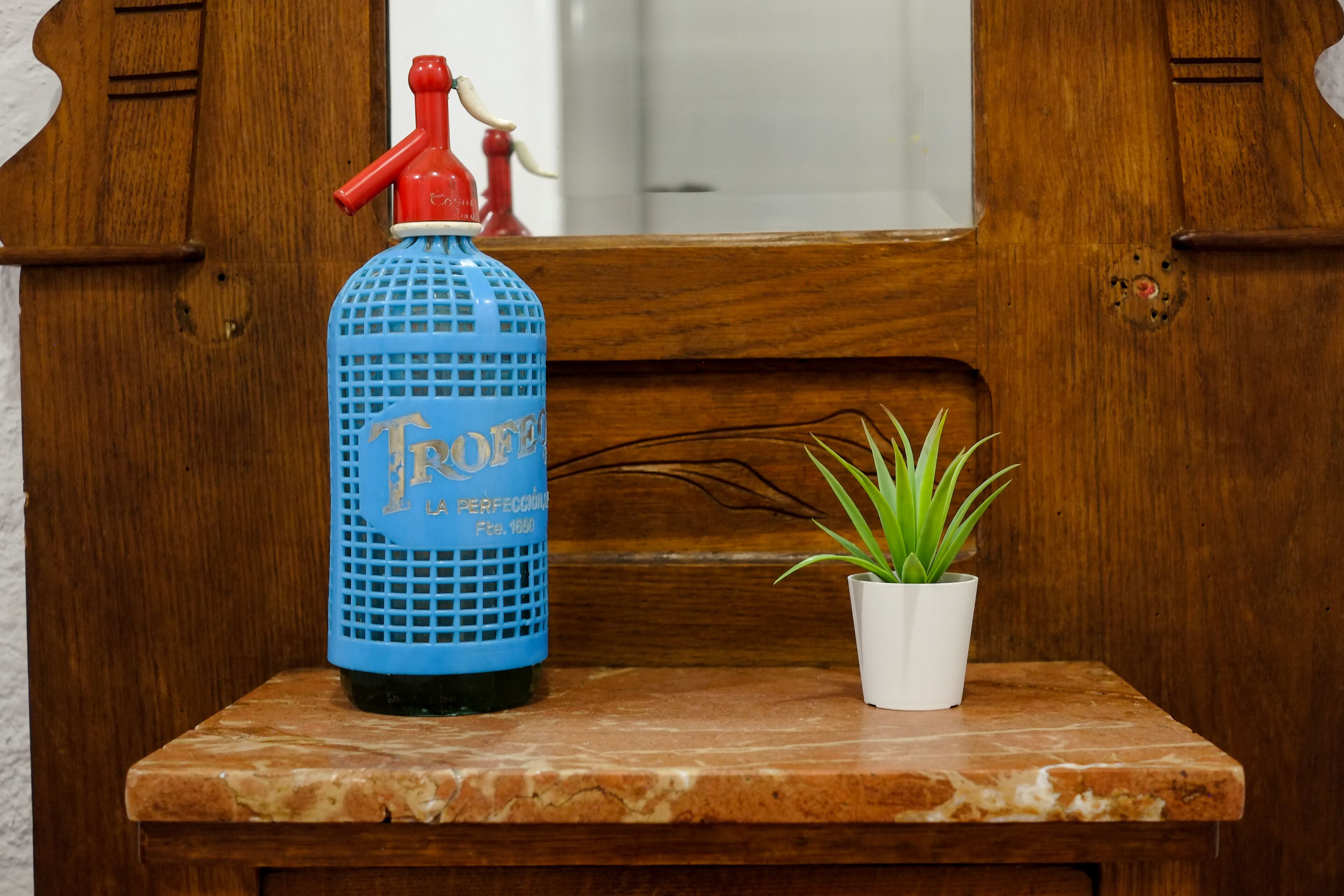 A blue bottle labeled "Frome" on a wooden shelf with a potted plant beside it.