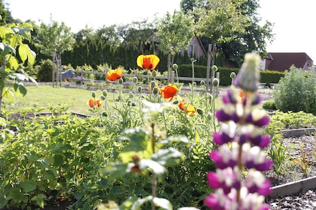 Jardín
