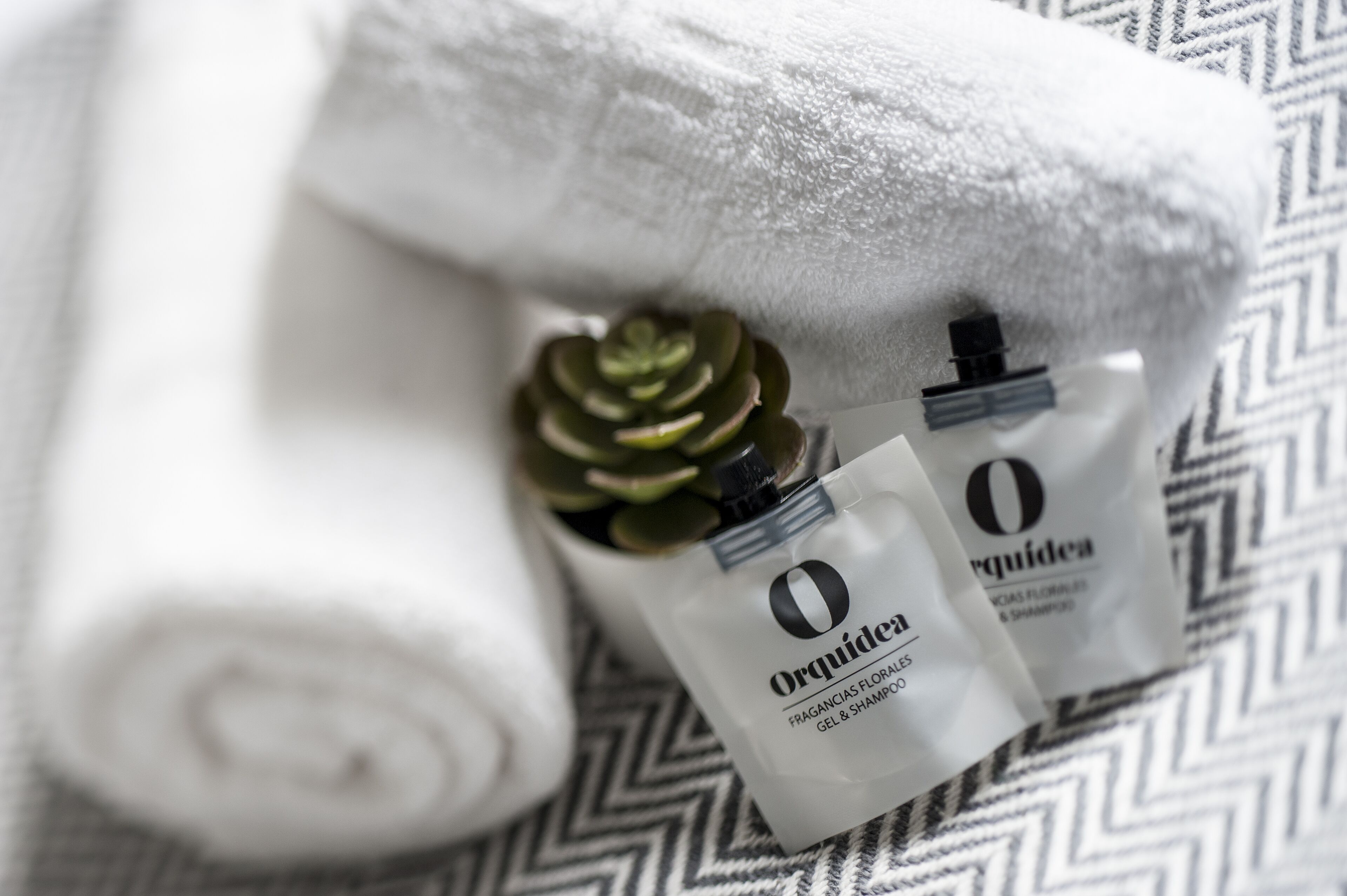 Photo - Pensión Sarriegi