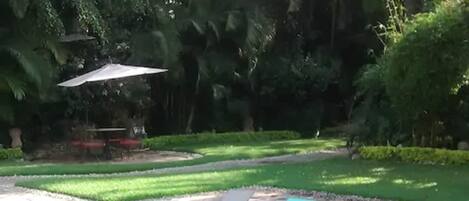 Una piscina con sillones de descanso, rodeada de abundante follaje y un césped cuidado.