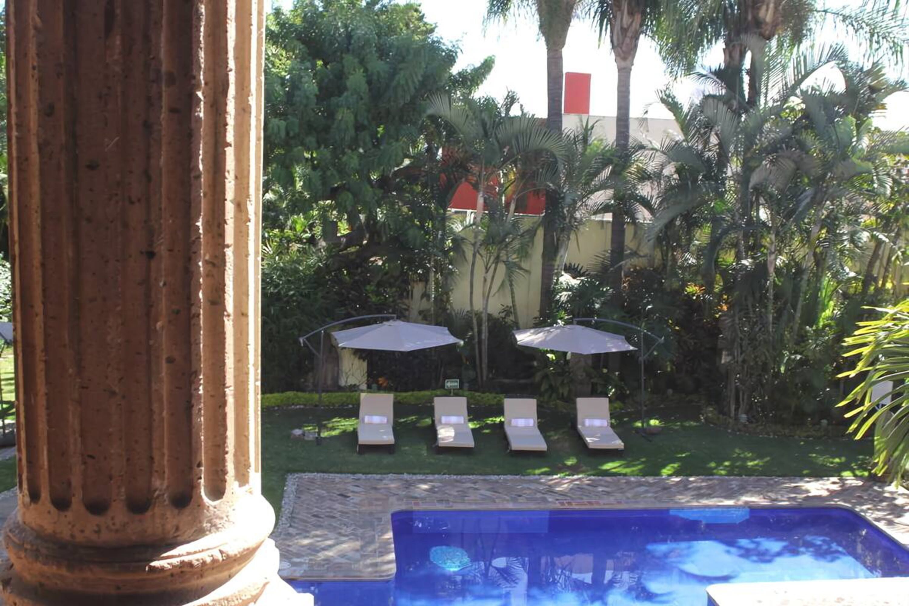 A pool area with lounge chairs and umbrellas, surrounded by palm trees and greenery.