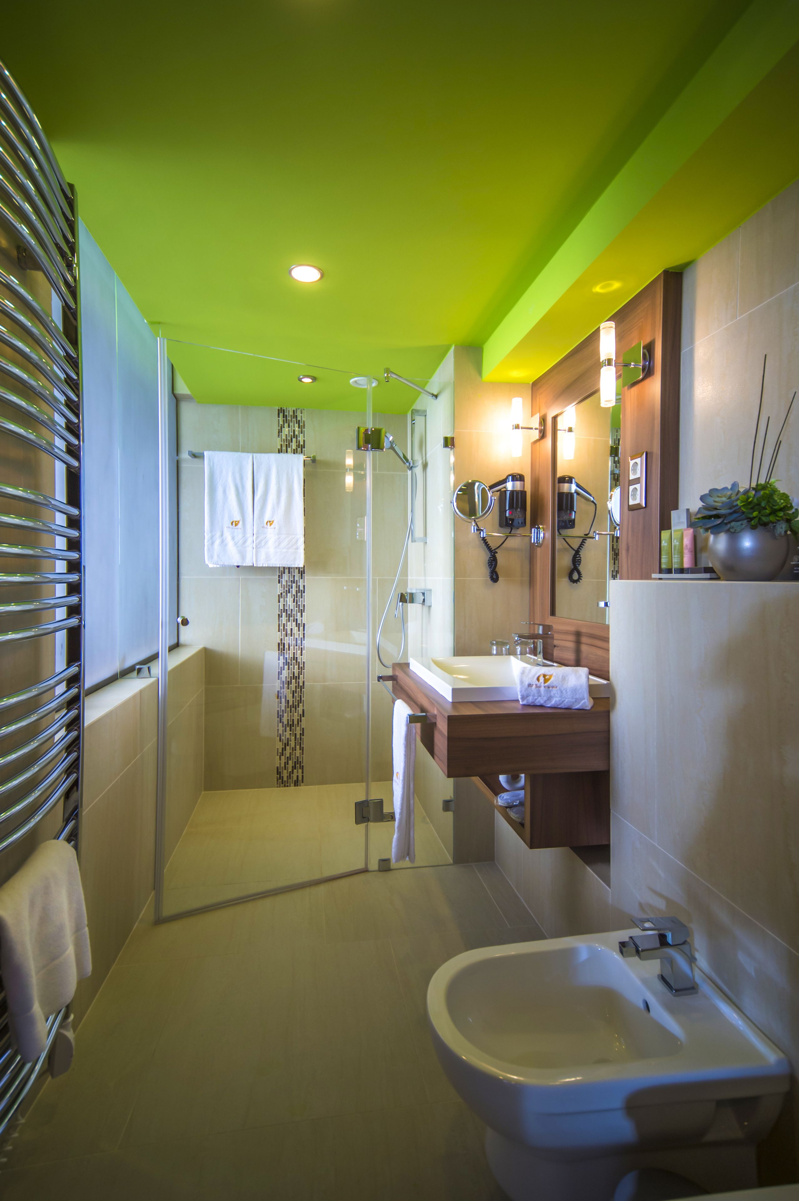 superior room, 1 double bed with sofa bed | bathroom | shower, free toiletries, hair dryer, towels