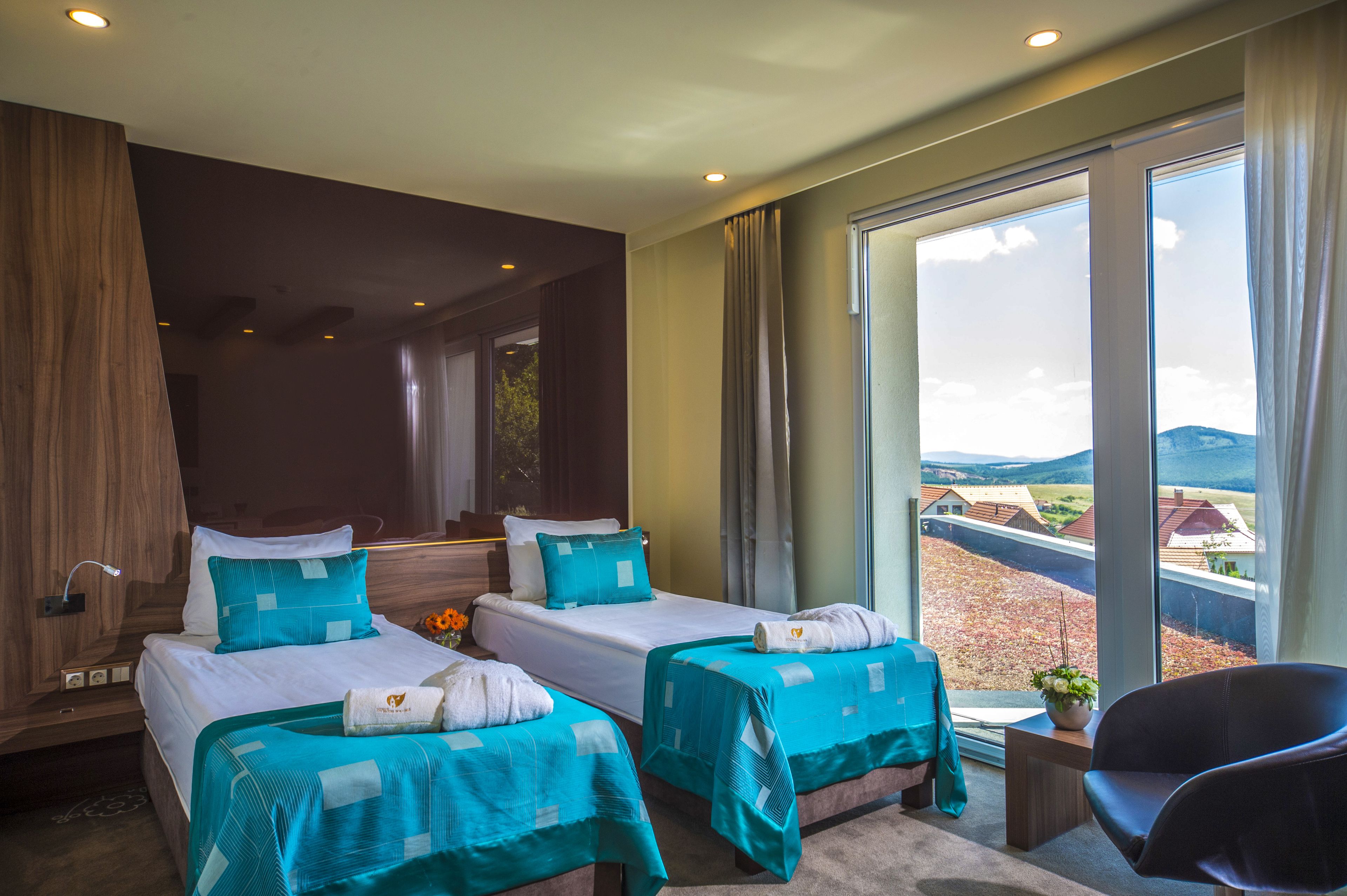 standard room, 2 single beds | view from room