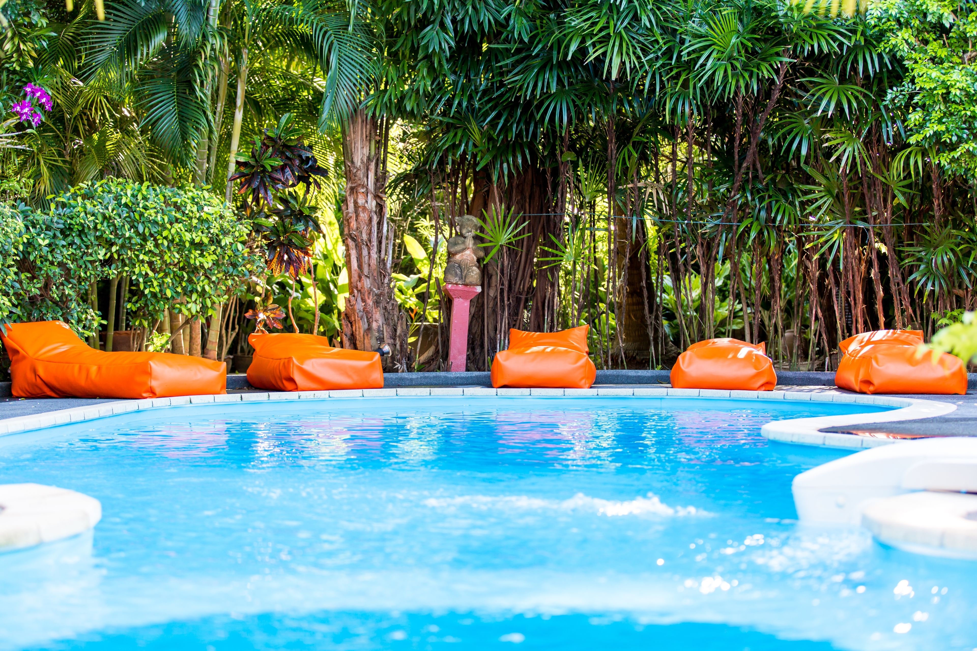 outdoor pool, pool umbrellas, pool loungers