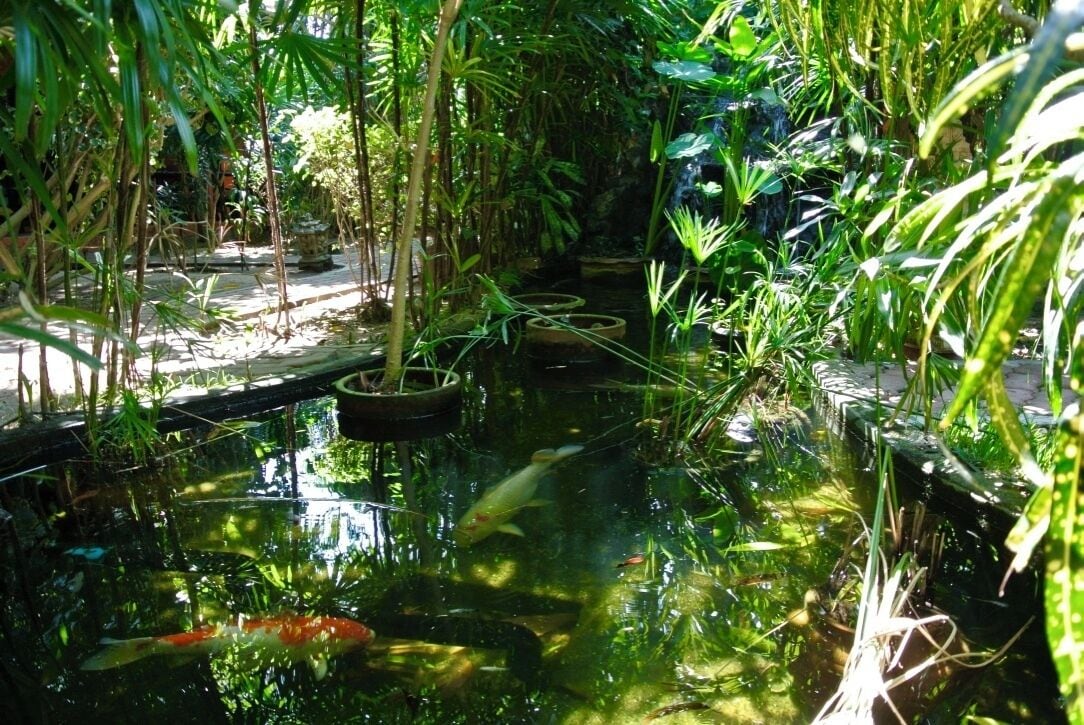 Foto - Eden Bungalows