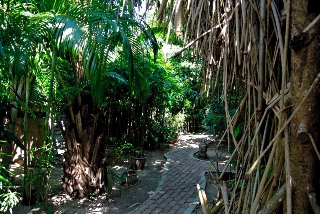 Foto - Eden Bungalows
