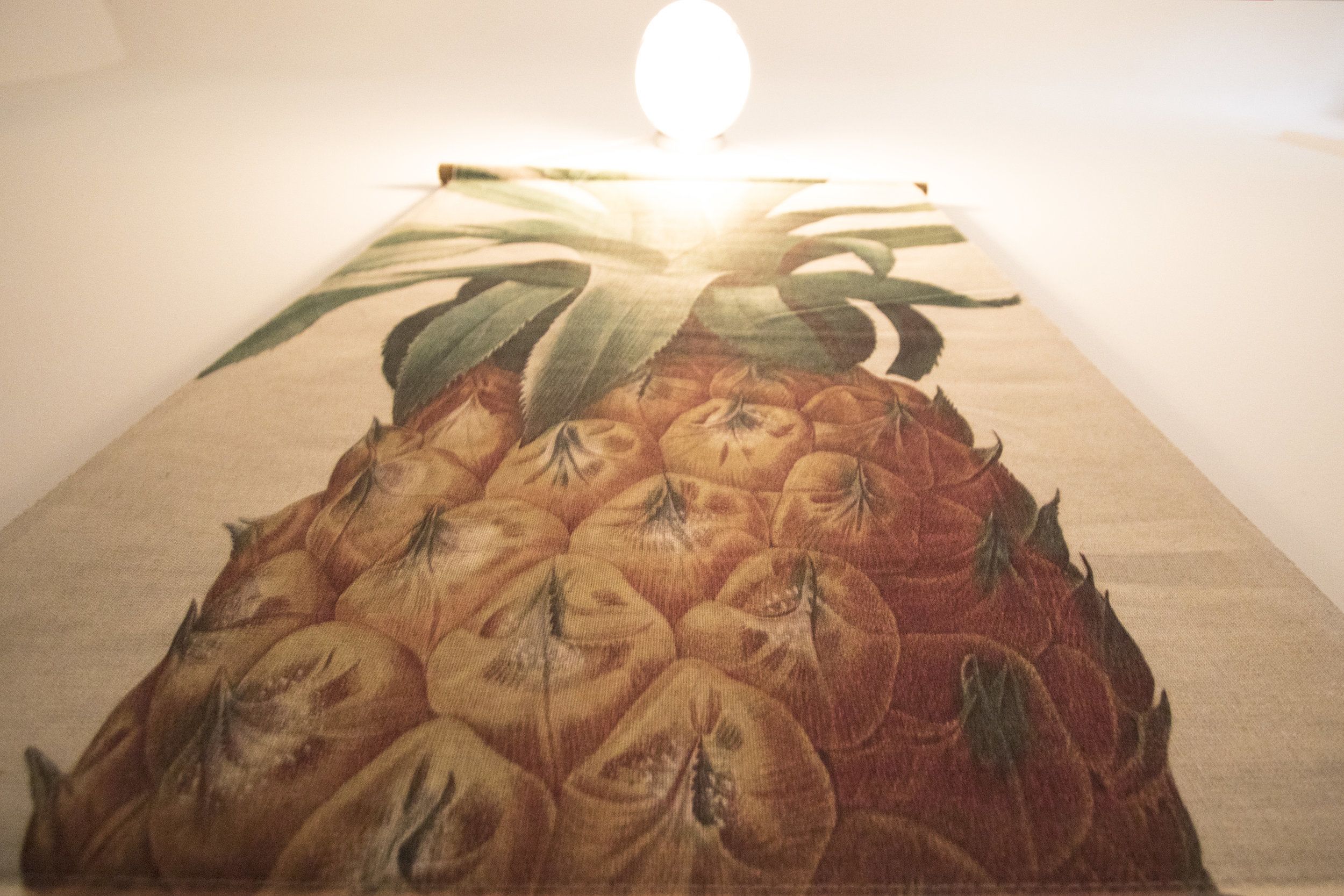 Photo - Surfing Etxea - Surf Hostel