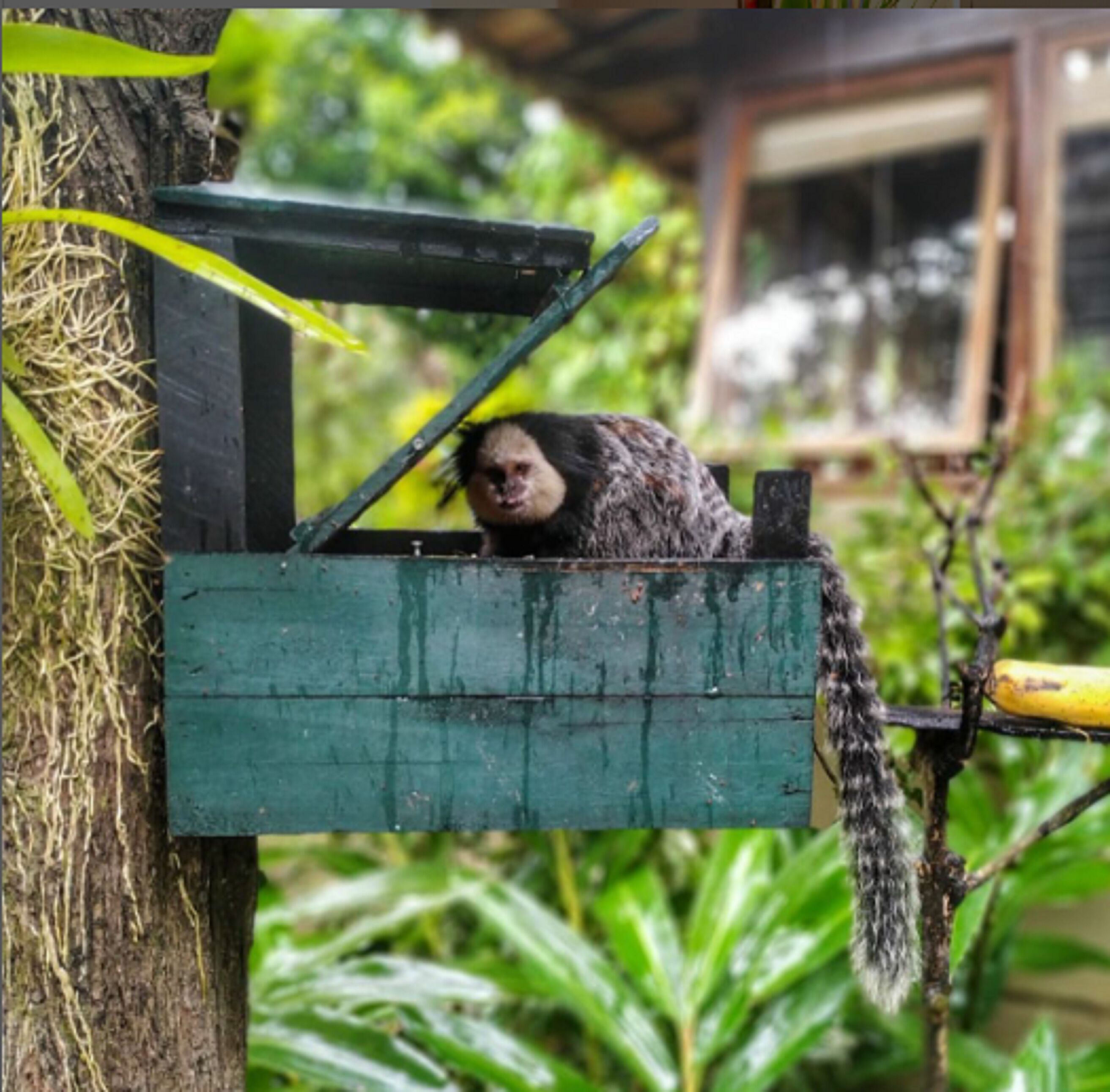 Photo - Pousada Coisa e Tao