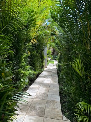 A pathway flanked by lush green foliage, leading to a building with a traditional architectural style. - Pousada Coisa e Tao (Porto Seguro)