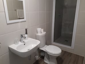 Deluxe Double Room (3) | Bathroom | Free toiletries, towels