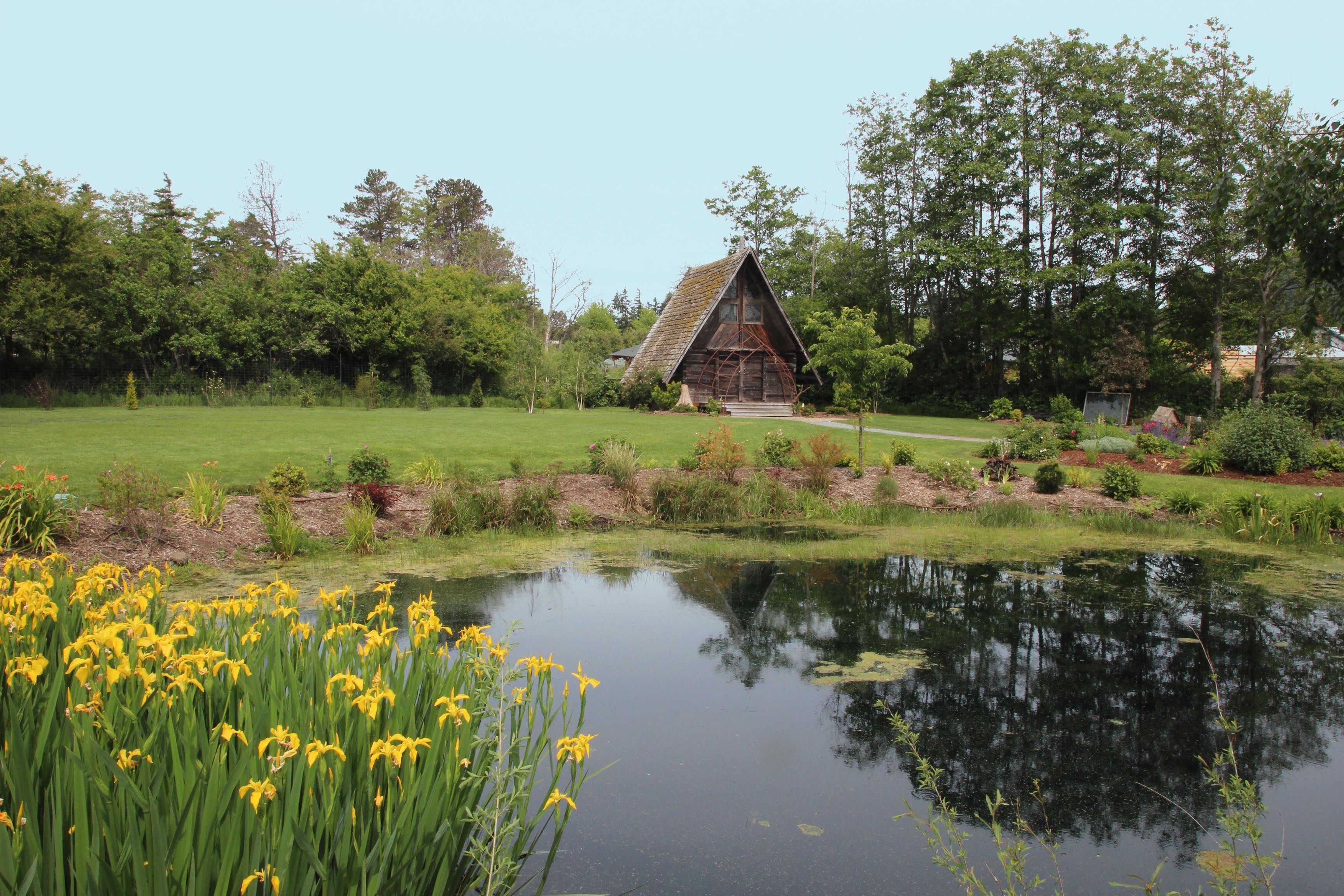 Eine rustikale Holzhütte mit geneigtem Dach, umgeben von üppigem Grün und einem Teich mit gelben Blüten im Vordergrund.