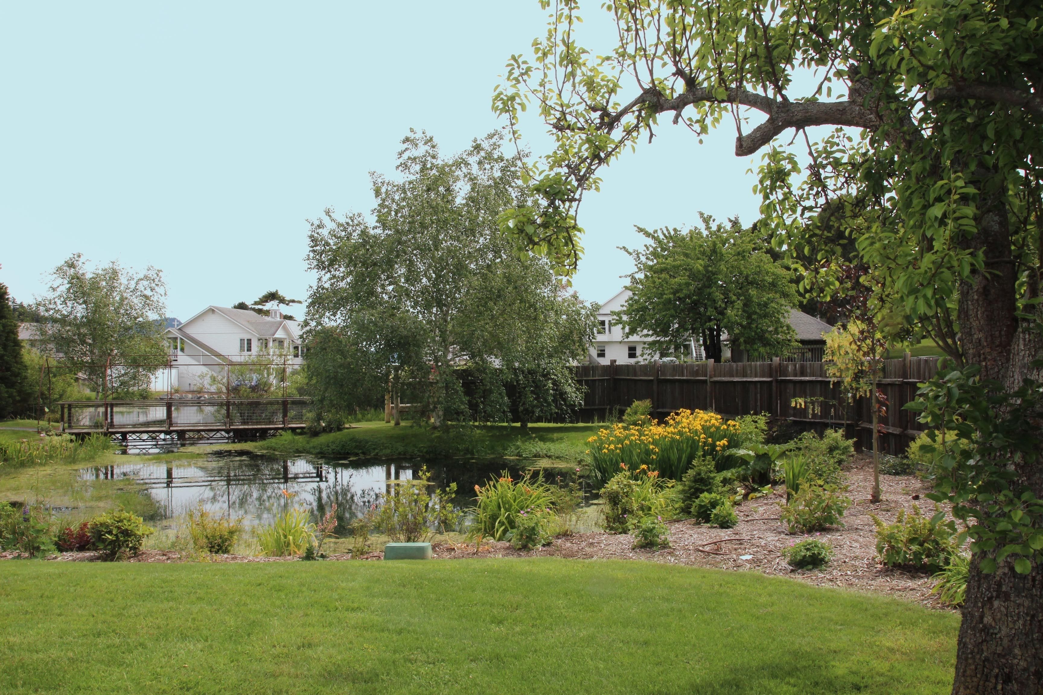 A residential garden with a pond, various plants, and a wooden bridge.