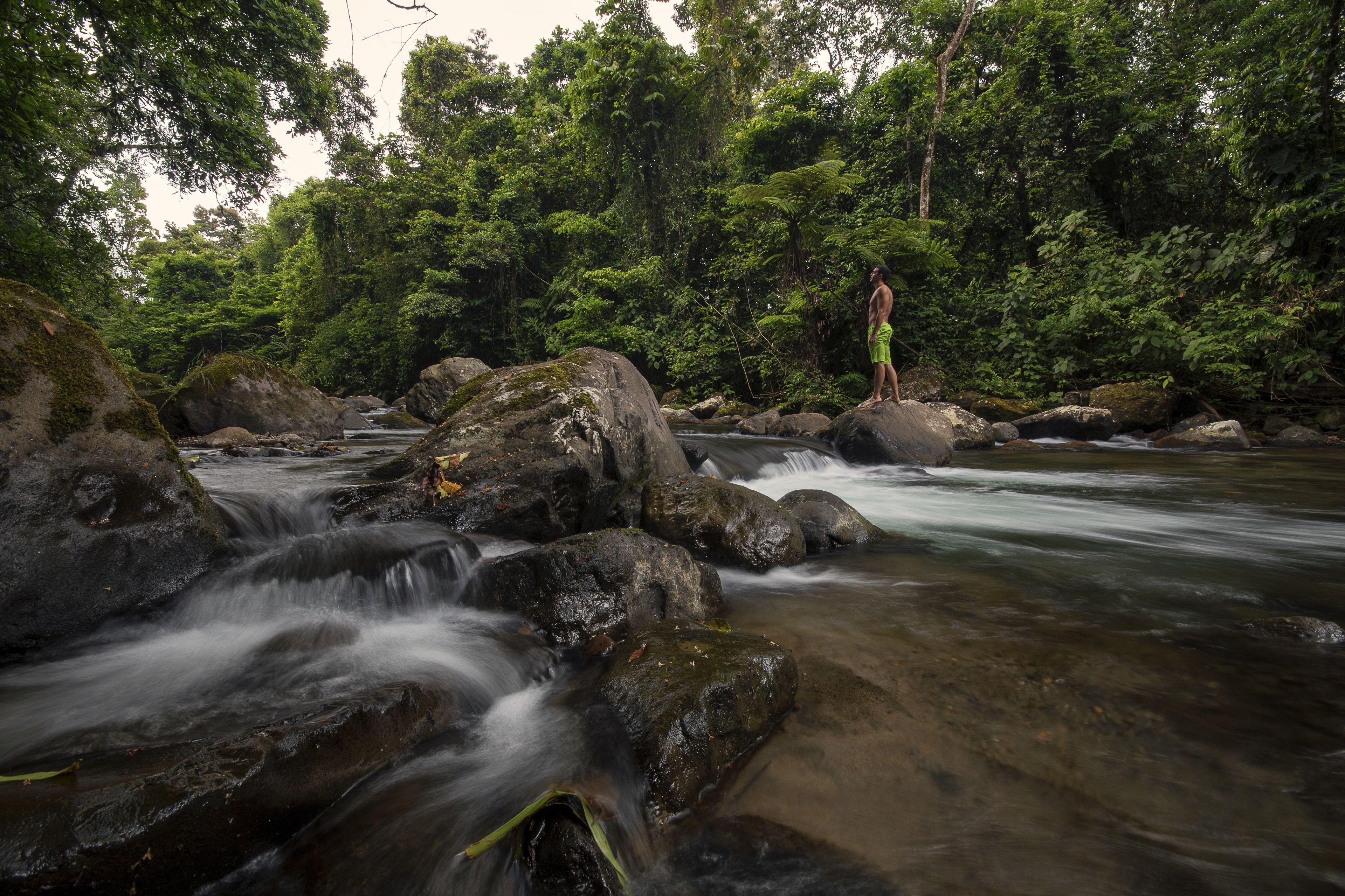 Un paisaje natural con un río que serpentea, rocas y un bosque denso.
