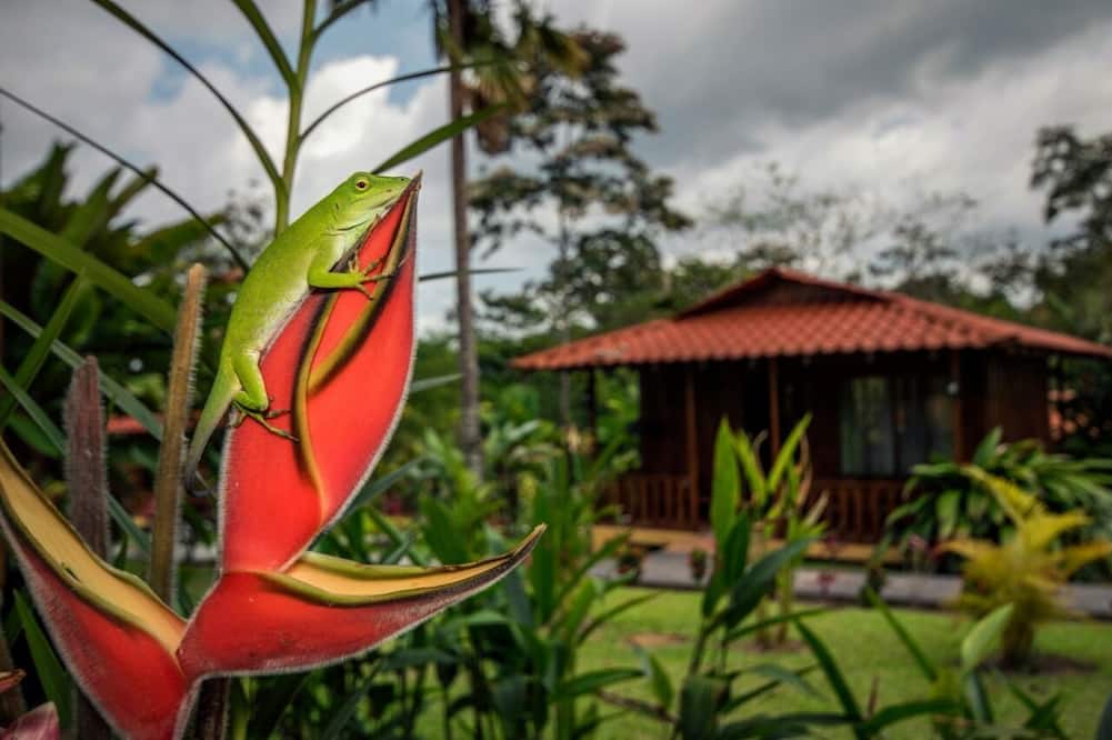 Hotel Rancho Cerro Azul