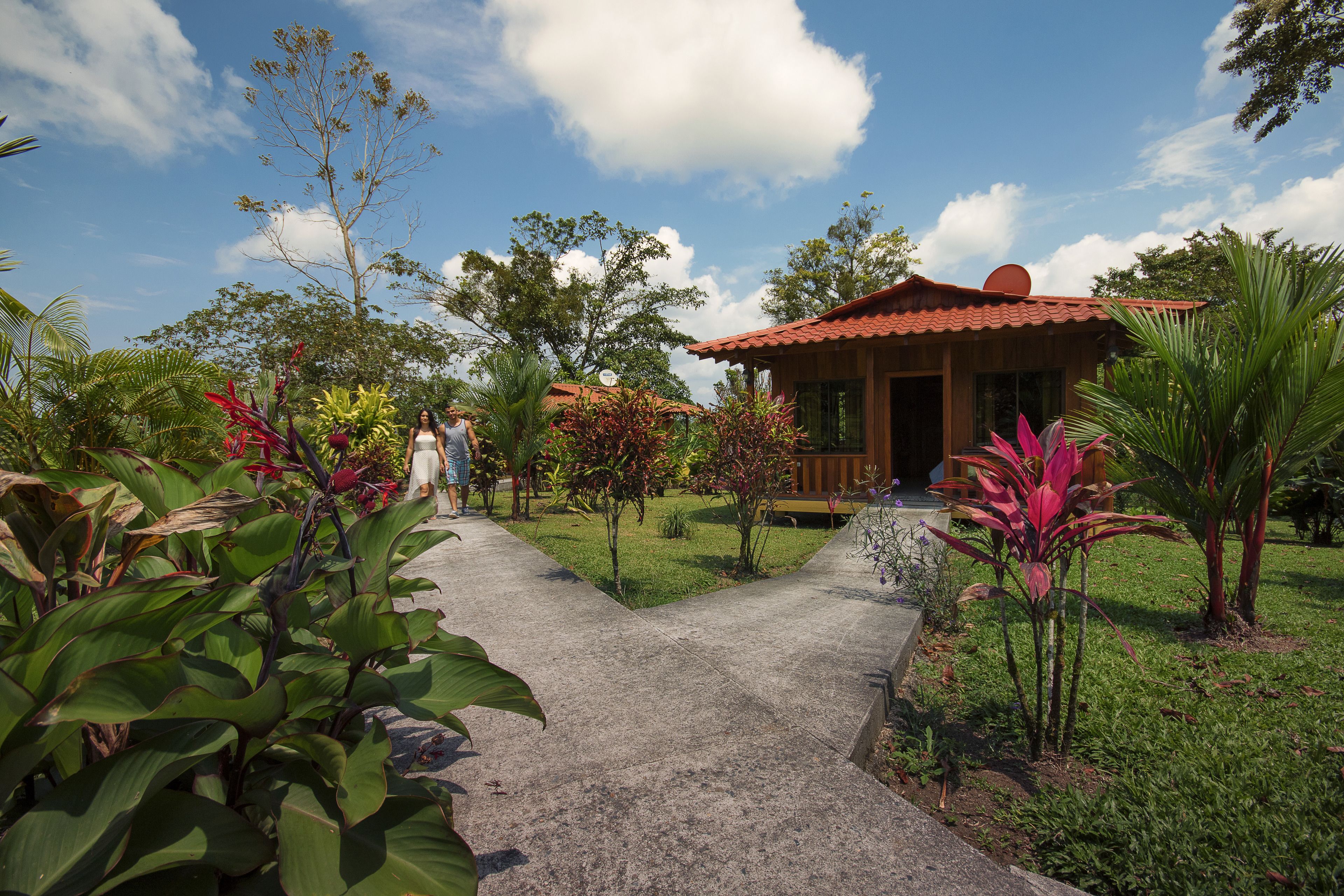 A pathway leading to a wooden house with a red roof, surrounded by lush greenery and various plants.