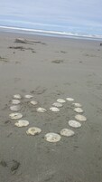 A beach with footprints leading to a circle of seashells.