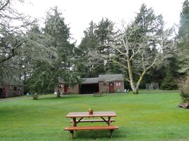 A picnic area with a wooden table and benches, surrounded by trees and a small cabin.