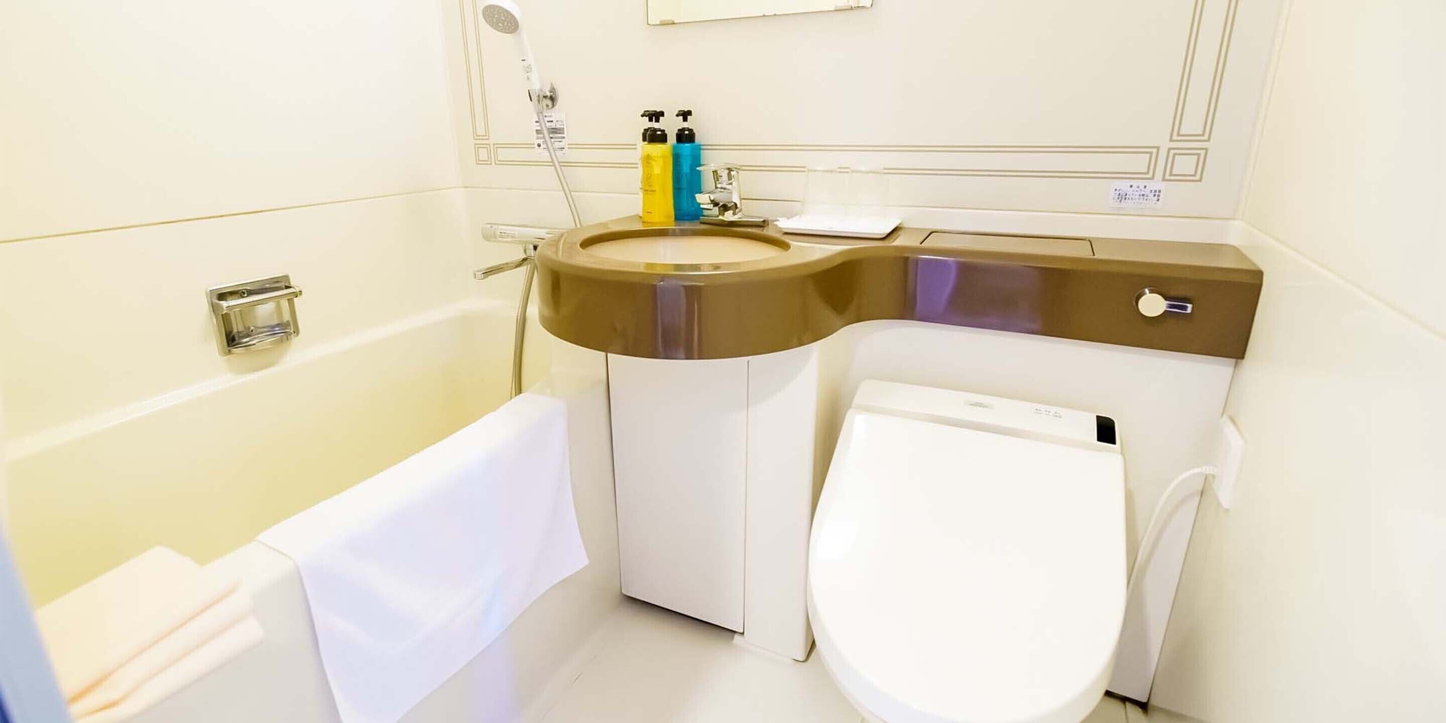 combined shower/bathtub, free toiletries, hair dryer, slippers