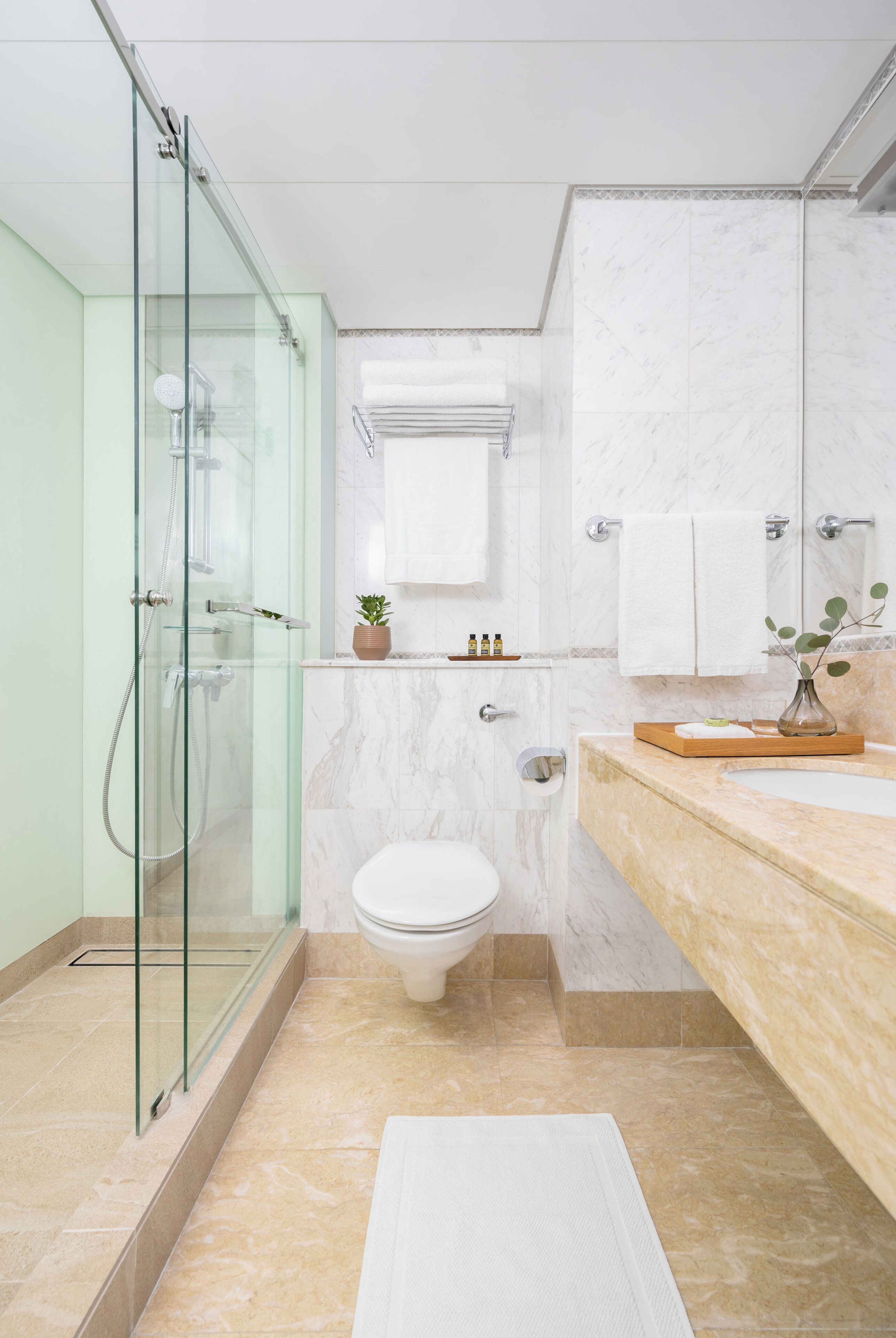 A modern bathroom with a glass shower enclosure, a marble sink, and a toilet.