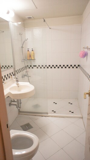Shower, hair dryer, towels, shampoo - Justin House (Seoul)