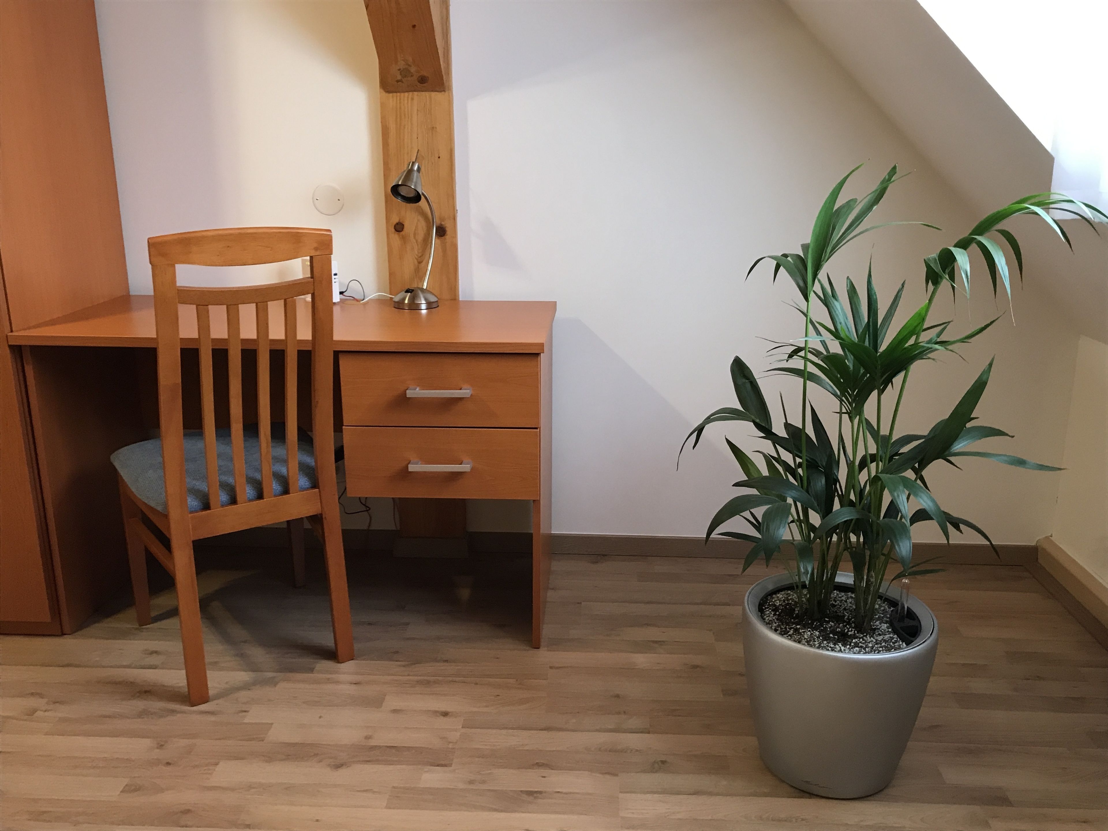 Photo - Old Prague House