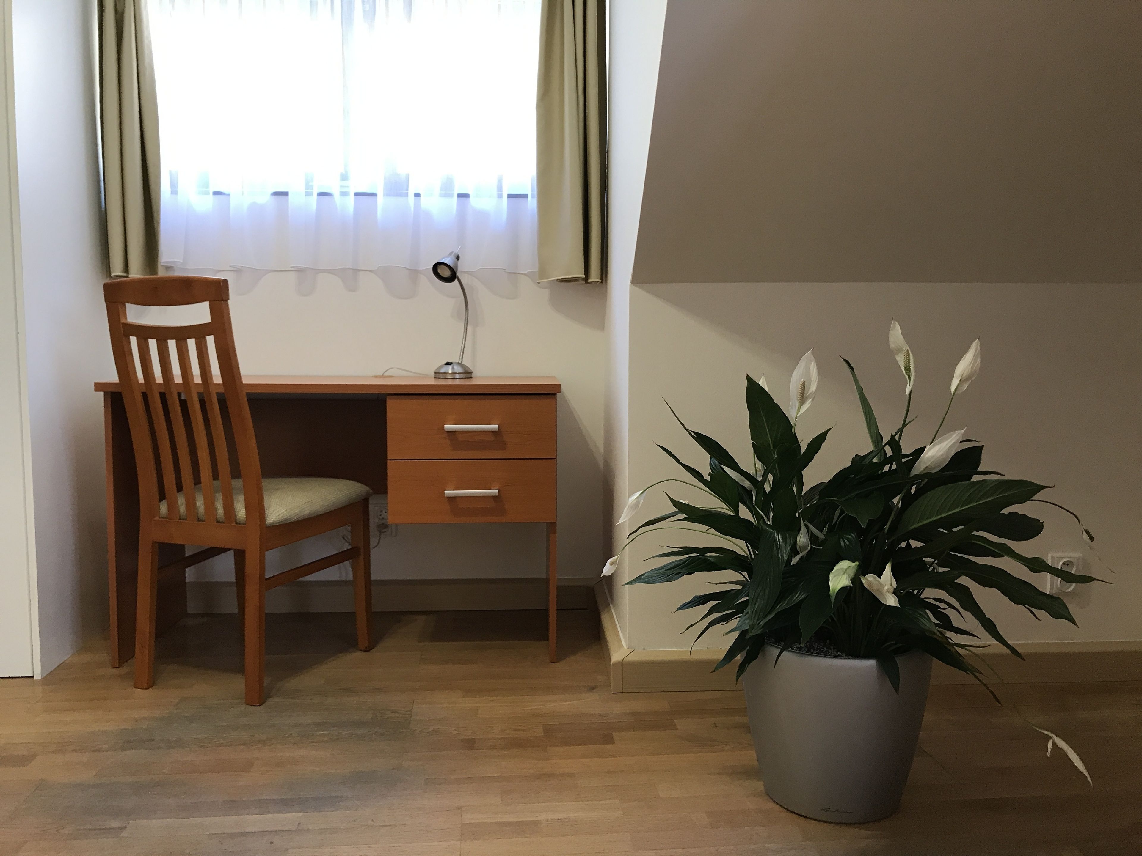 Photo - Old Prague House