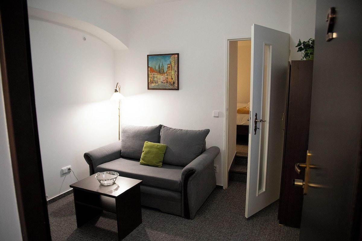 Suite, 1 chambre, salle de bains attenante