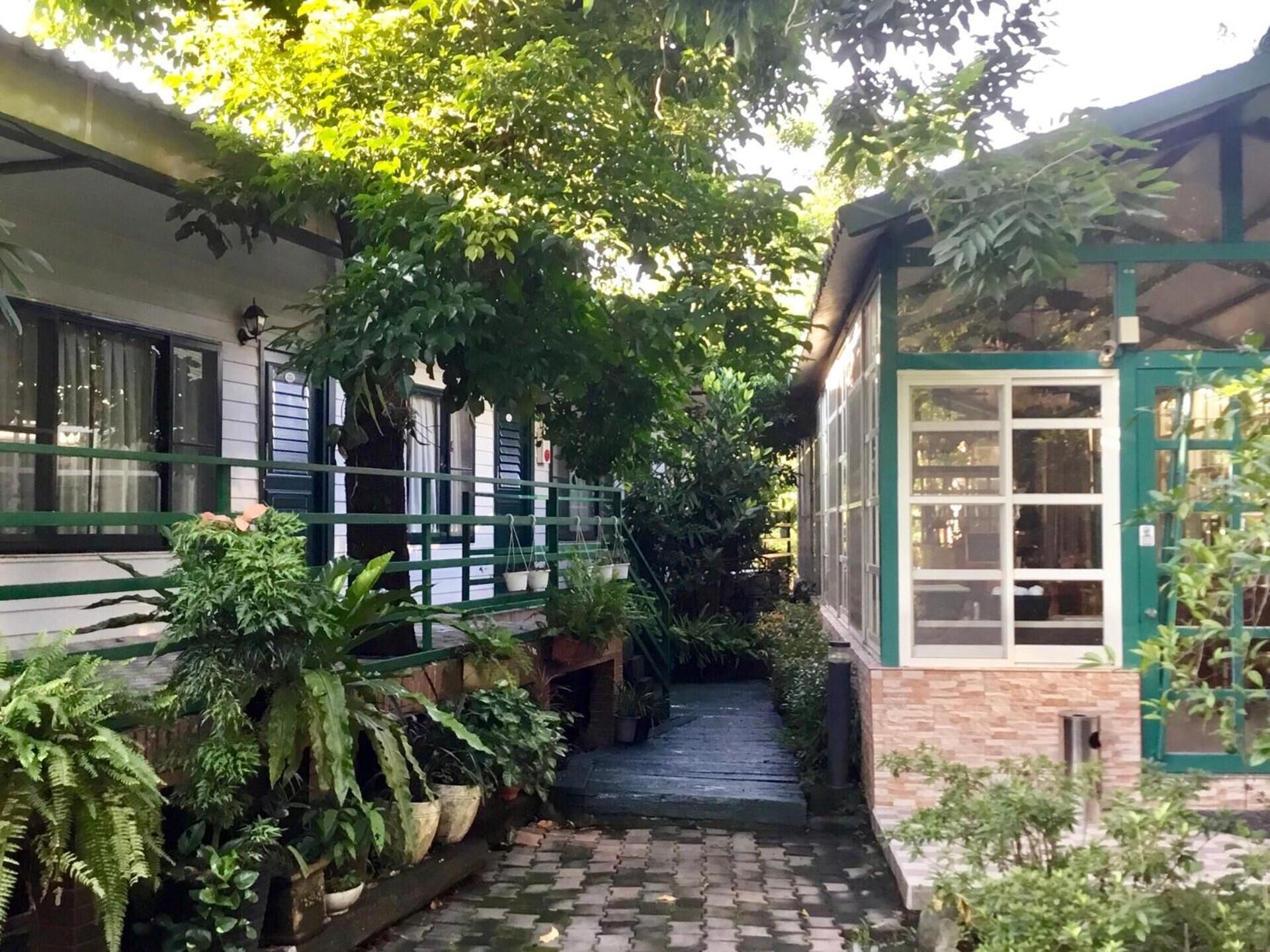 Un sendero estrecho bordeado por macetas con plantas y un edificio con puerta verde y ventanas.