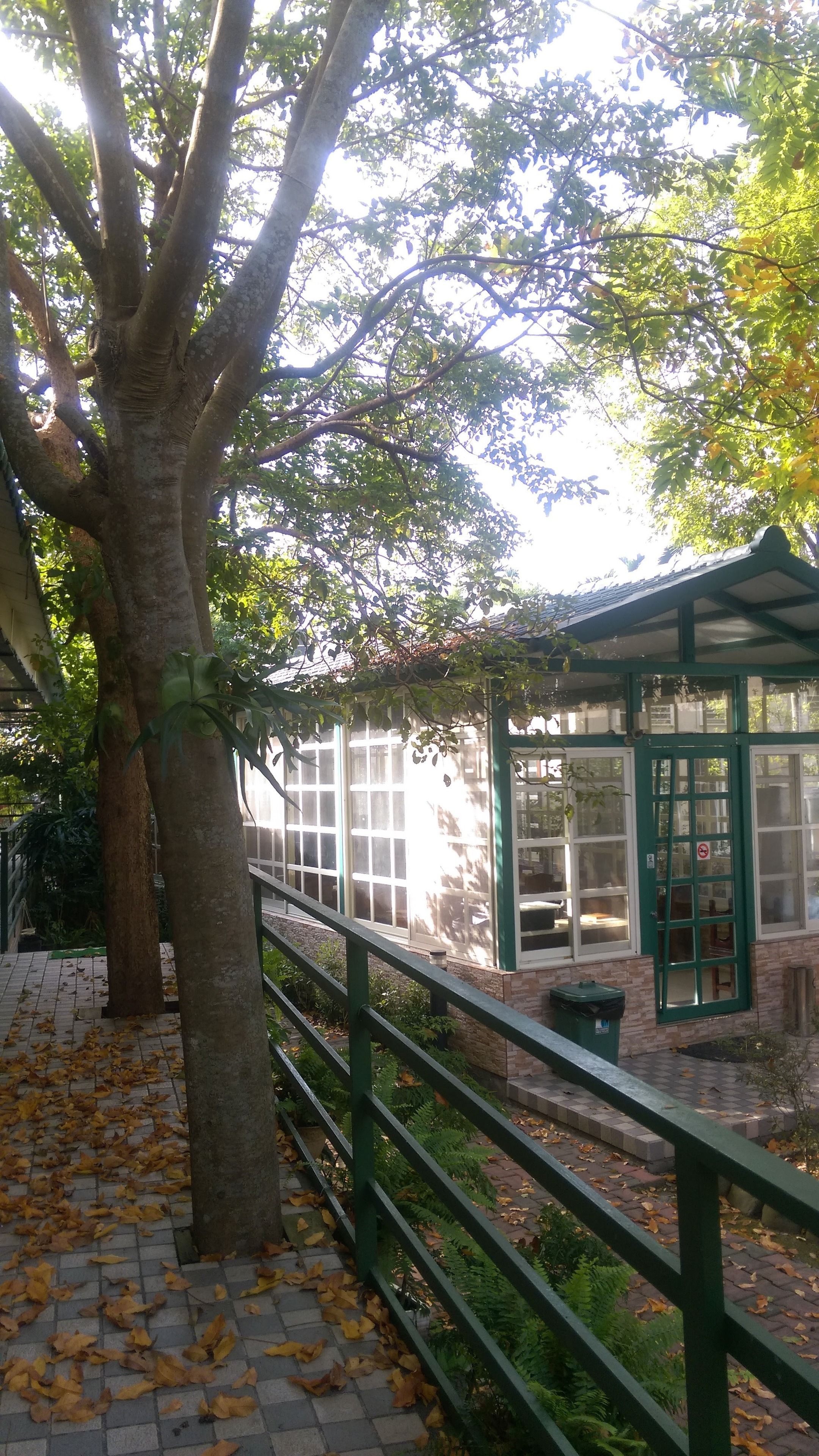 A tree-lined walkway with a green metal railing and a glass-paneled structure in the background.