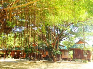 Property grounds - Sri Phairin Resort (Tha Mai)