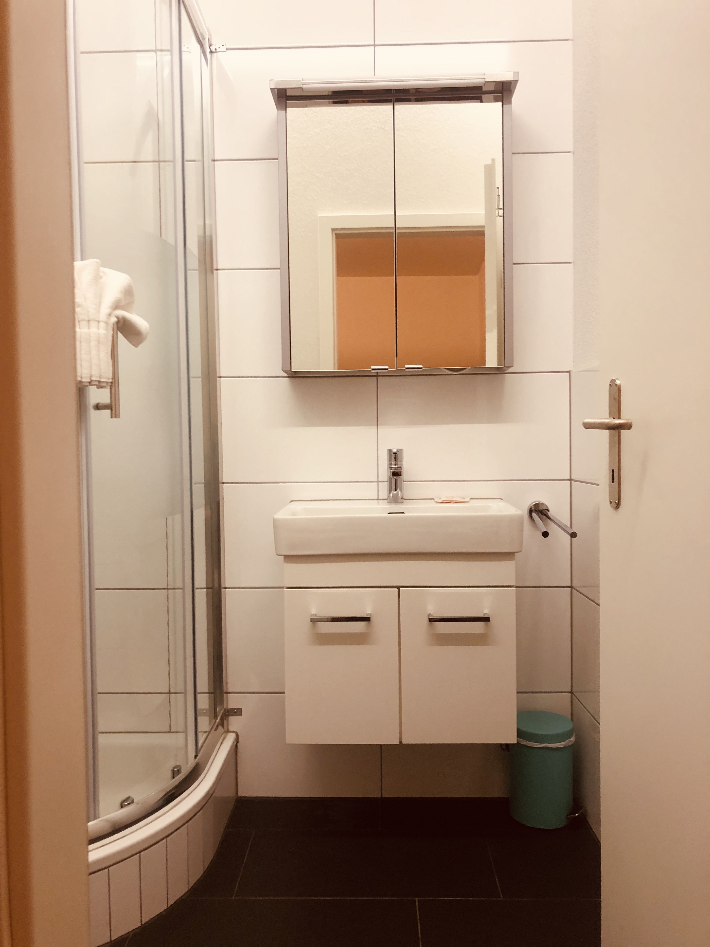 Ein Badezimmer mit Duschkabine aus Glas, einem weißen Waschbecken mit Spiegel darüber und einer kleinen Mülleimer.
