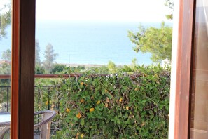 View from property - Villa Knossos (Argaka)