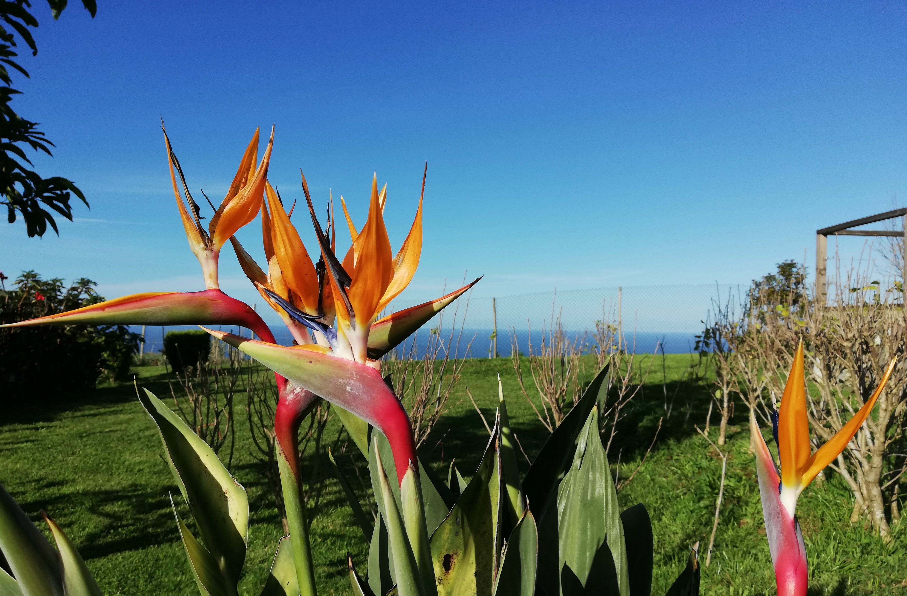 Foto - Tradicampo Eco Country Houses