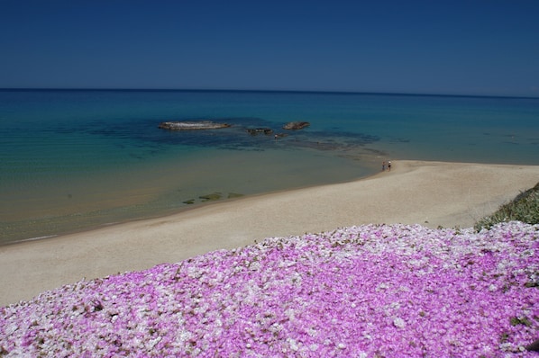 Una playa cerca, arena blanca, sillas reclinables de playa, sombrillas
