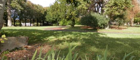 A park with a well-maintained lawn, various trees, and a paved path.