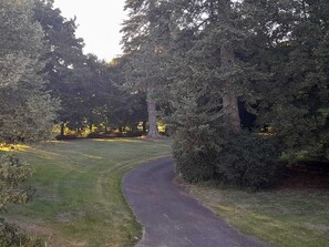 A paved path curving through a grassy area with dense trees on either side. - Château Ardilleux (Valdelaume)