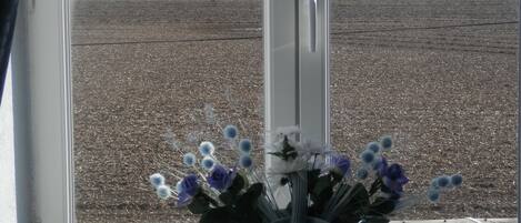 A window with a view of a field and a vase with flowers on a table.