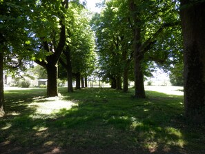 Property grounds
