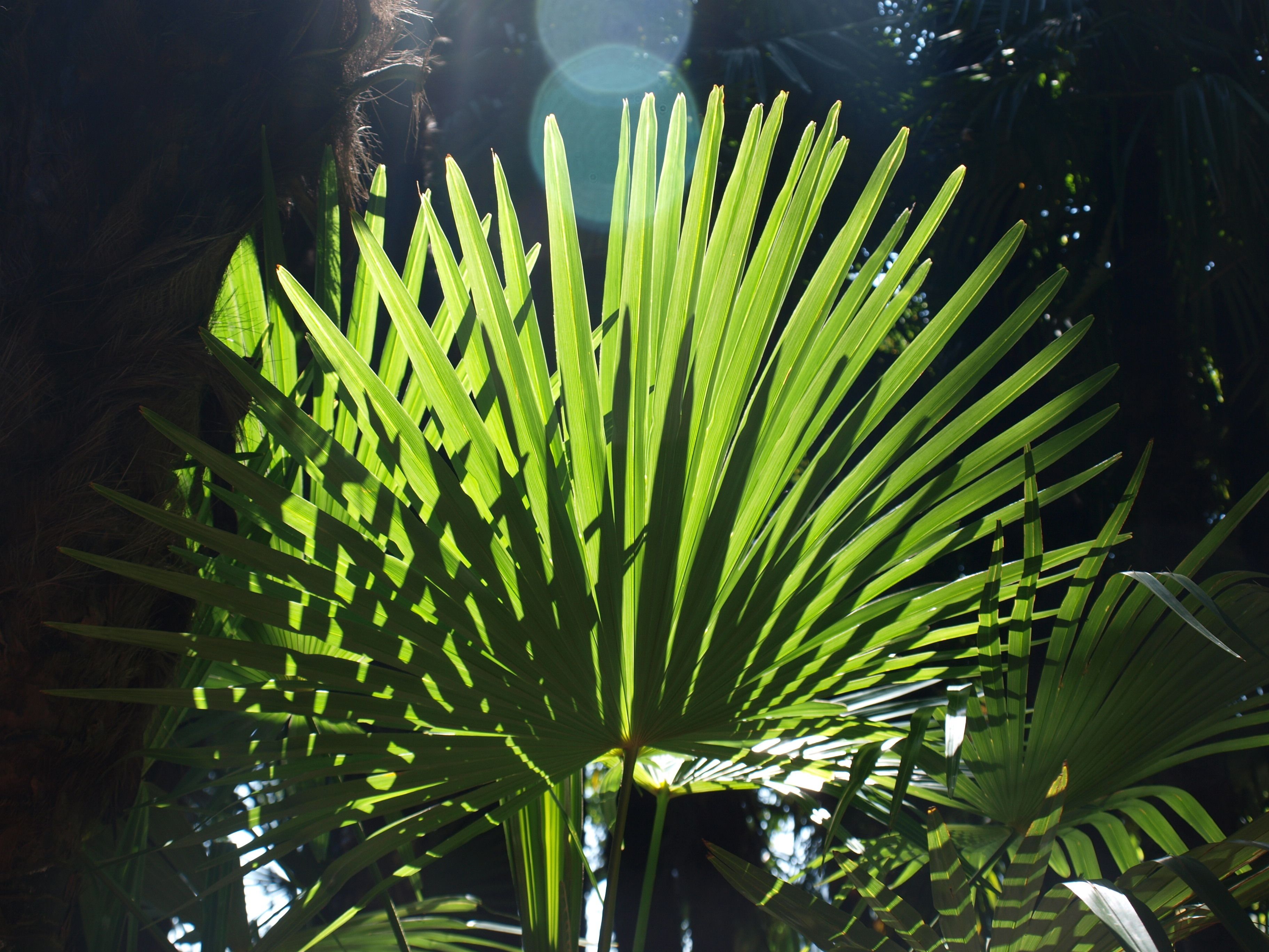 Foto - Lugano Savosa Youth Hostel