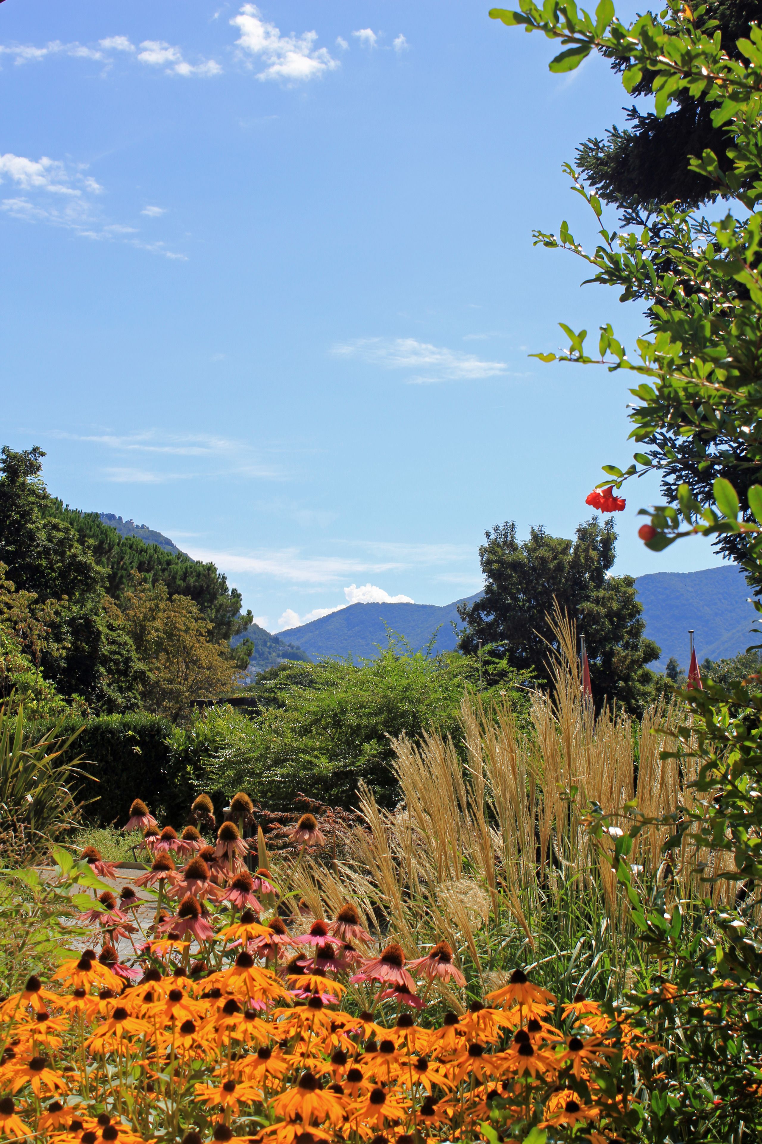Foto - Lugano Savosa Youth Hostel