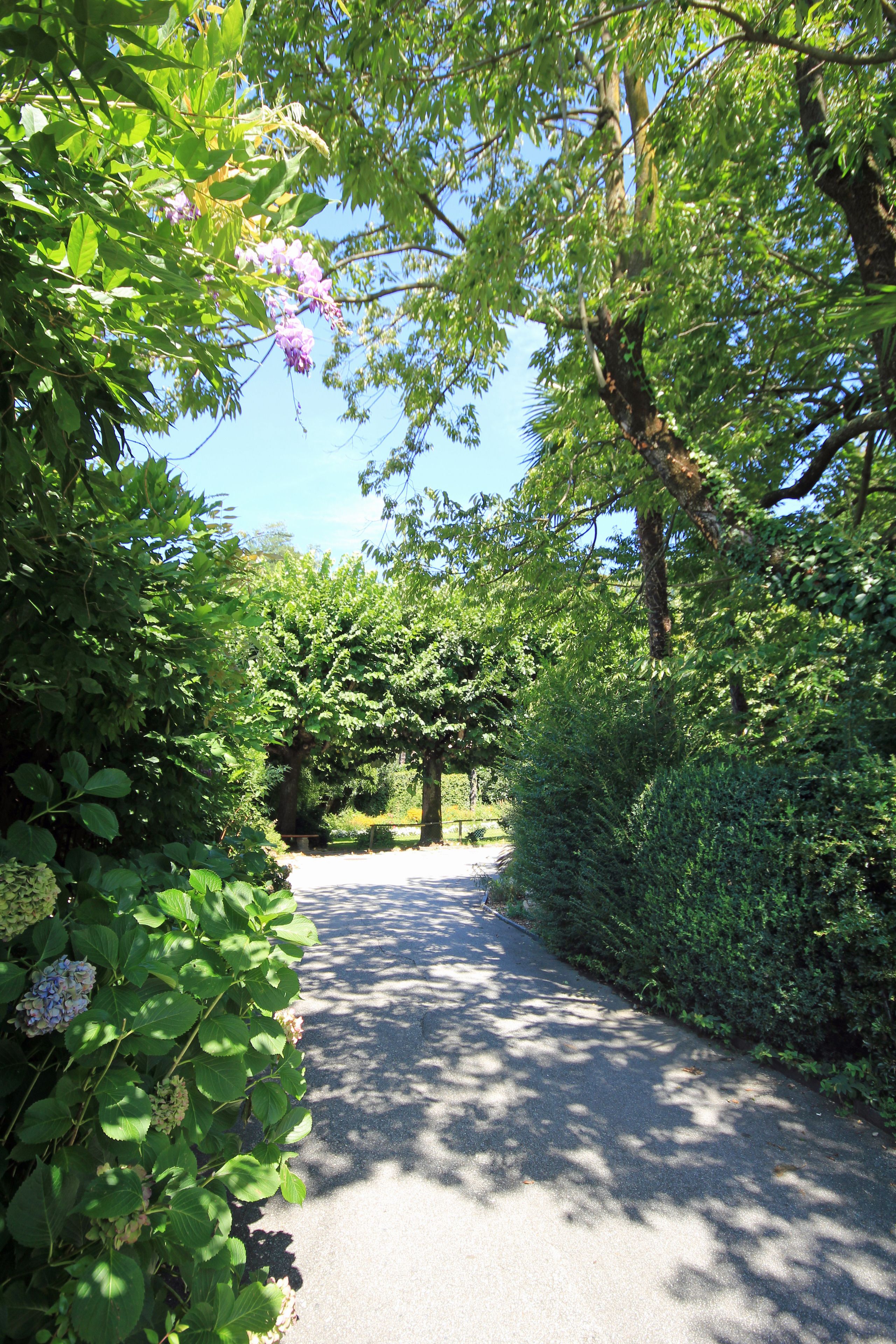 Foto - Lugano Savosa Youth Hostel