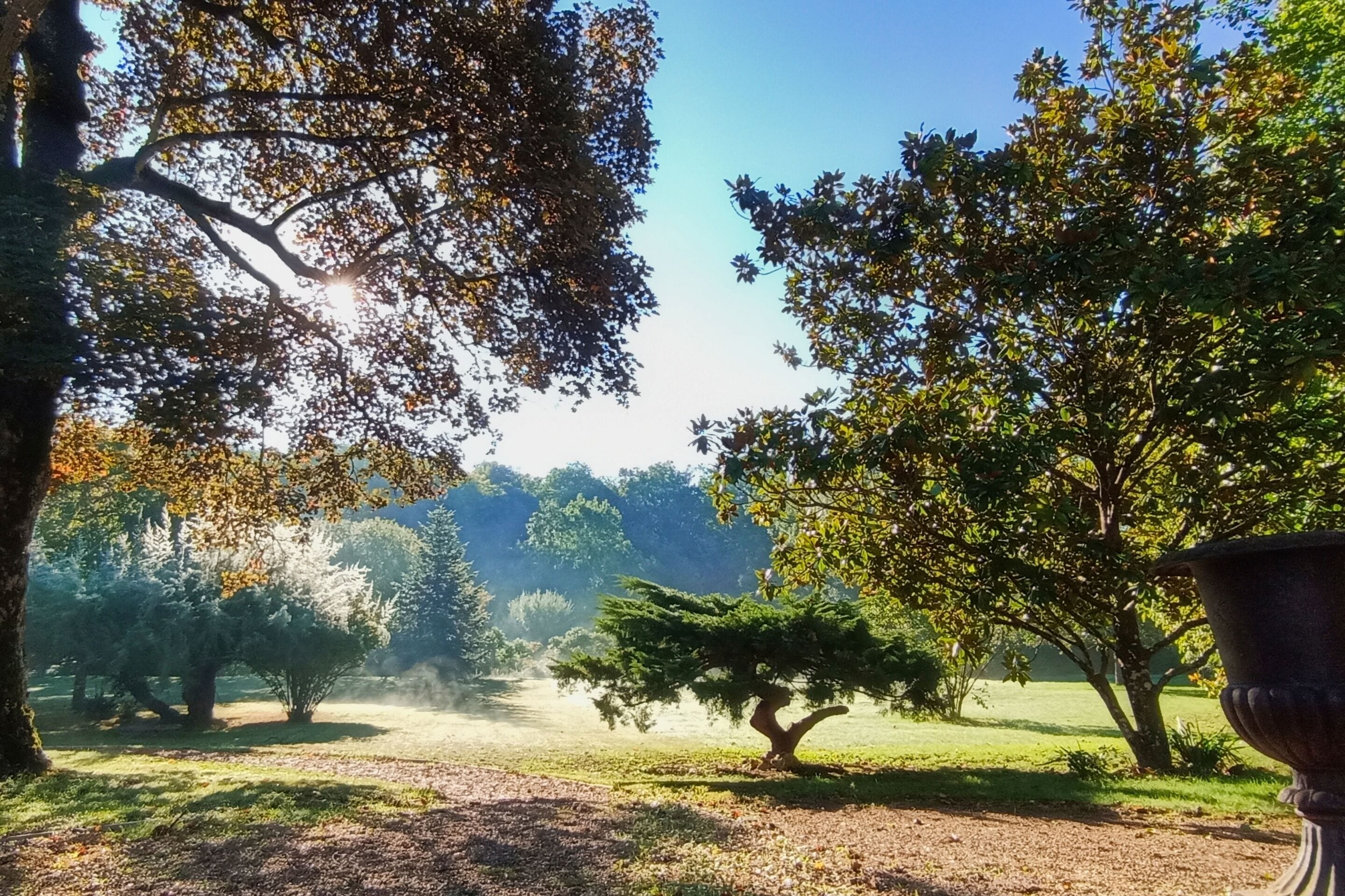A park with trees, a large urn, and a clear sky.