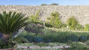 A garden with a stone wall, various plants, and a palm tree. - Masseria Palane (Patu)
