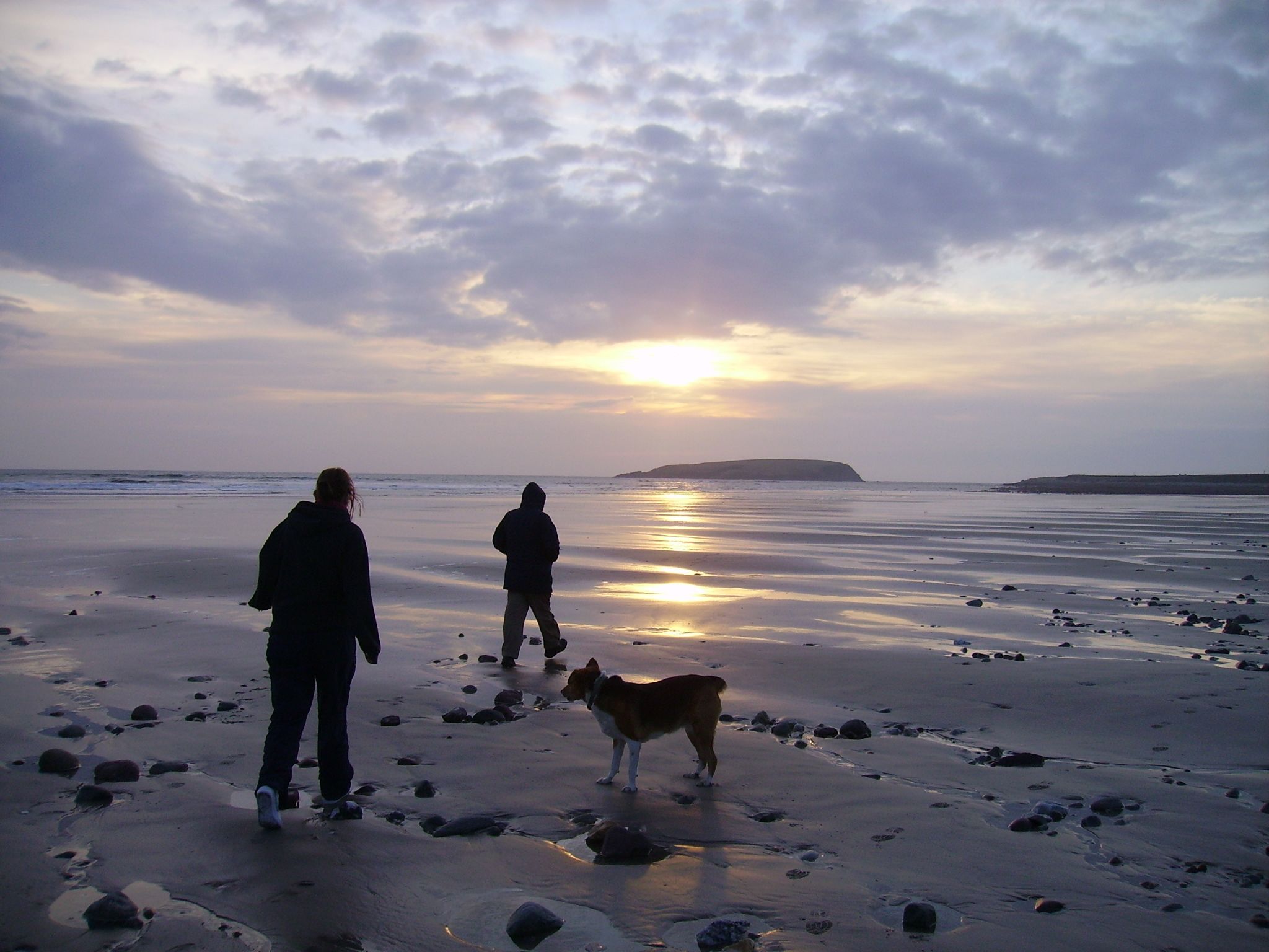 En strandscen med människor och en hund.