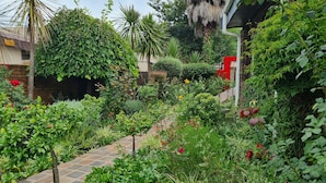 A lush garden with a variety of plants and flowers, a stone pathway, and a brick wall. - Dara Guest House (Secunda)