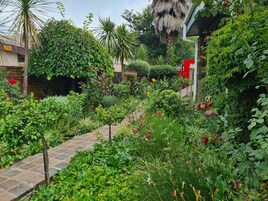 Un exuberante jardín con diversas plantas y flores, un sendero de piedra y un muro de ladrillo.