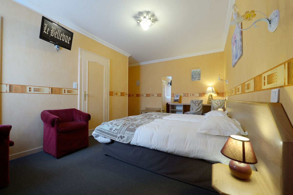 Standard Twin Room | Desk, cribs (free), rollaway beds (surcharge), WiFi (free)